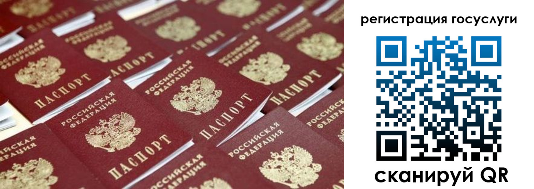 прописка ребенка в Старой Руссе